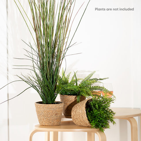 18cm Medium Seagrass Plant Pots Set of 3